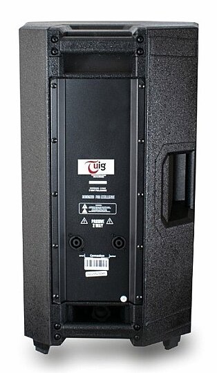 TUİG TG-12PS 12" 800 Watt Pasif Hoparlör - 2